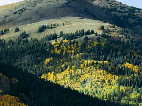 A Symphony of Gold: Autumn Mountain Majesty - Lifestyle news