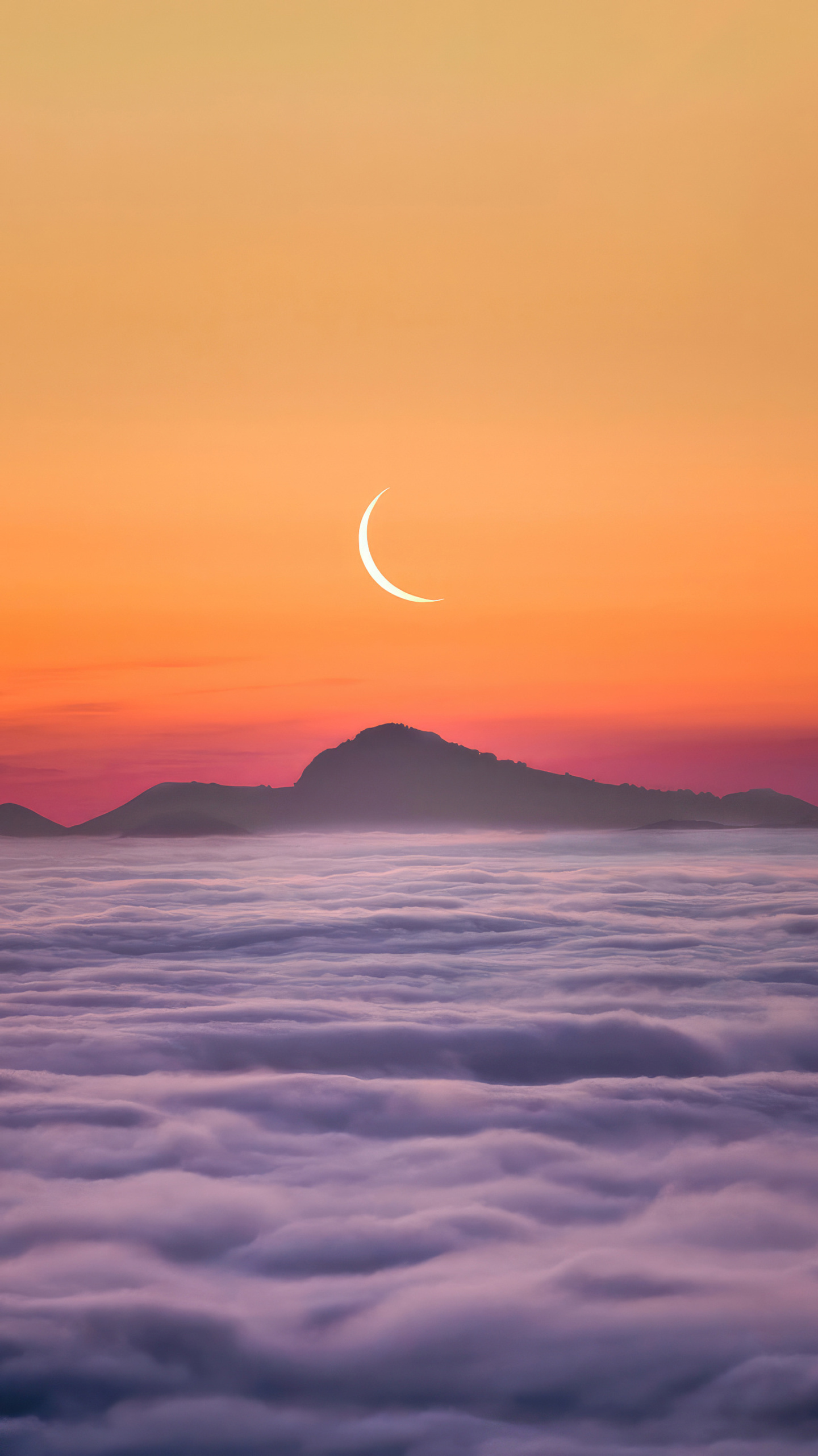 Magic in the Mist: Witnessing a Sea of Clouds Under a Kiwi Moon
