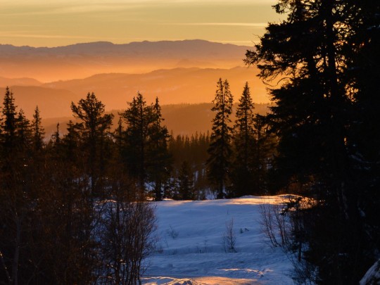 Snowy Road Sunset Glow & Forest Path Offer Winter Serenity - Lifestyle news