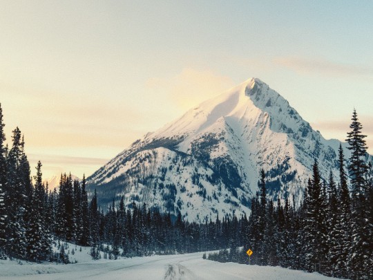 Carretera de la Montaña de Nieve: Un Viaje Escénico Imprescindible - estilo de vida news from xants.net