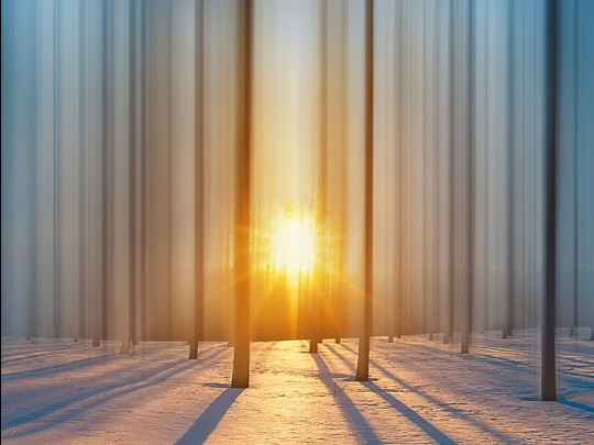 Espectáculo Invernal: El Amanecer Mágico que Transforma un Campo de Nieve